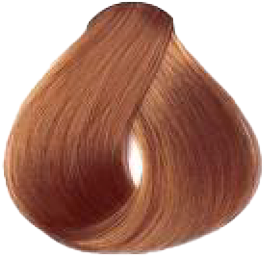 MARRONE NOCE