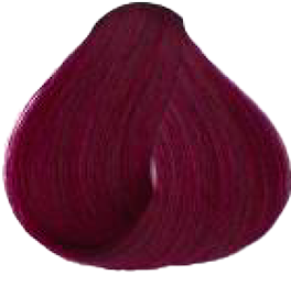 VINACCIA